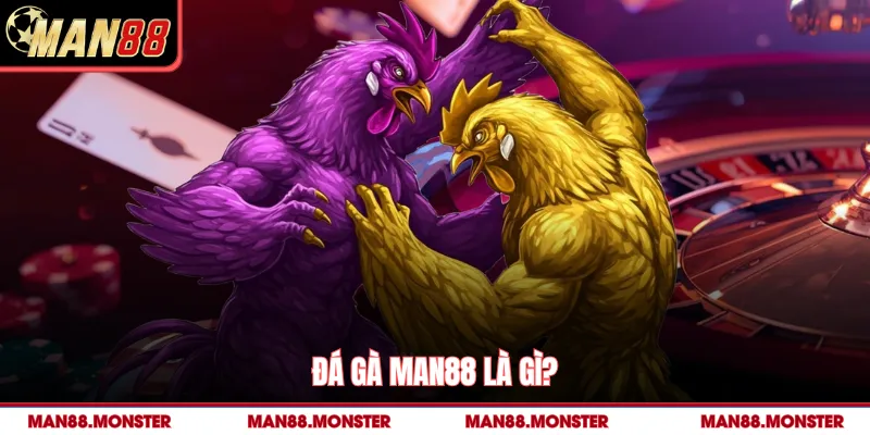 Đá gà man88 là gì?